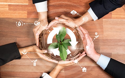 Environmental Sustainability